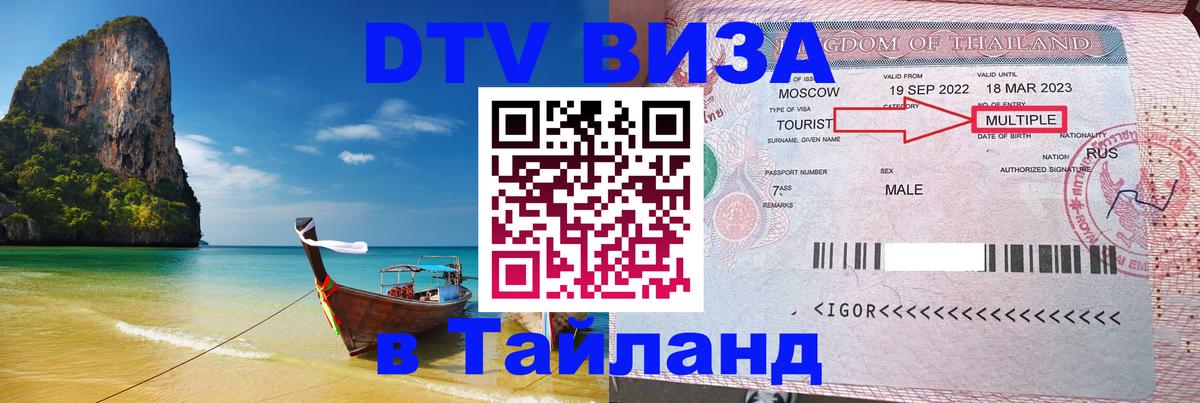 Оформление DTV визы под ключ: стоимость и тарифы, только загранпаспорт - 09.01.2026 